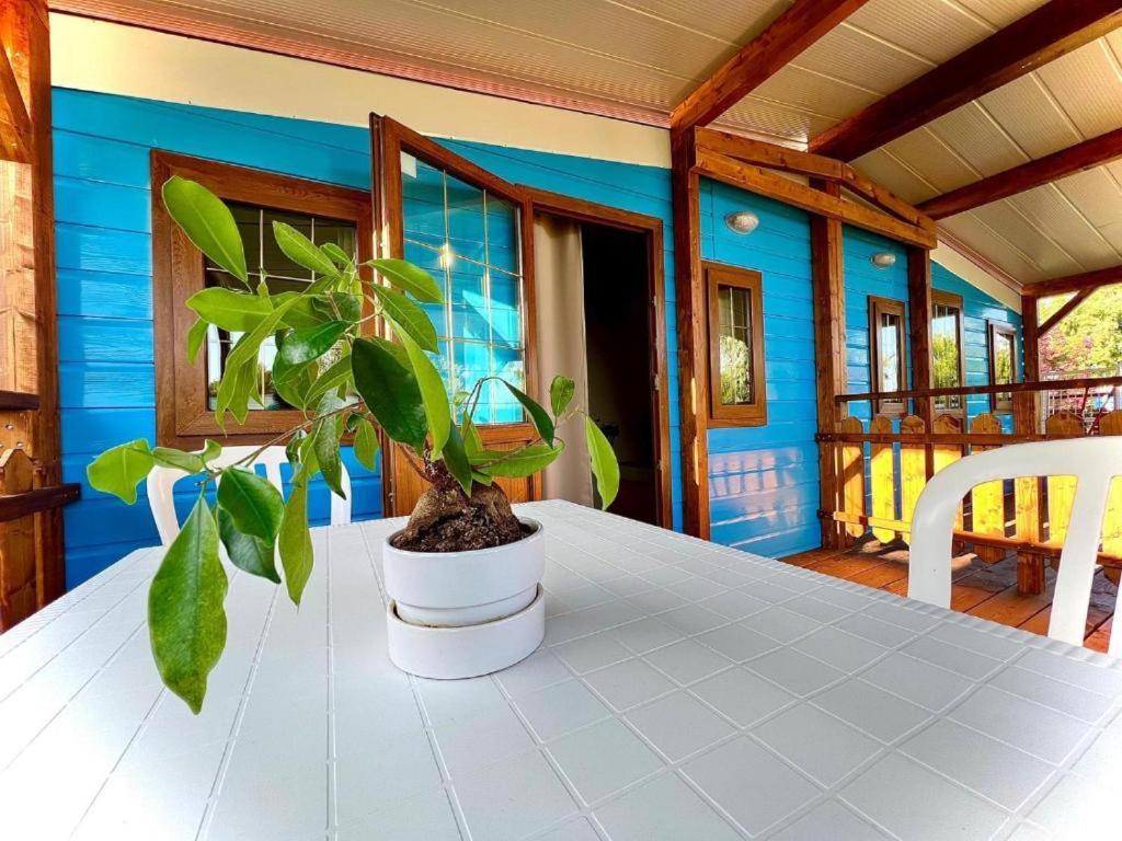Camping Village Tuscia Tirrenica Tarquinia Exteriör bild