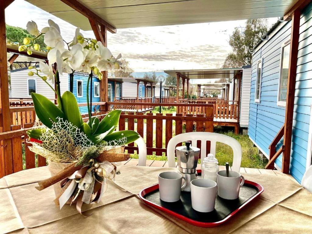 Camping Village Tuscia Tirrenica Tarquinia Exteriör bild